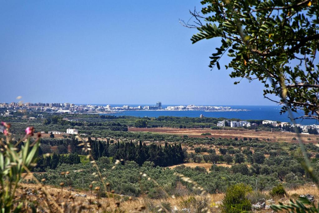 Villa Musica - Vista esterna della dimora storica a Sannicola - 5